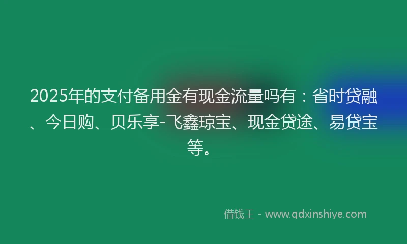 2025年的支付备用金有现金流量吗有：省时贷融、今日购、贝乐享-飞鑫琼宝、现金贷途、易贷宝等。