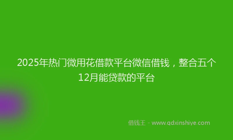 2025年热门微用花借款平台微信借钱，整合五个12月能贷款的平台