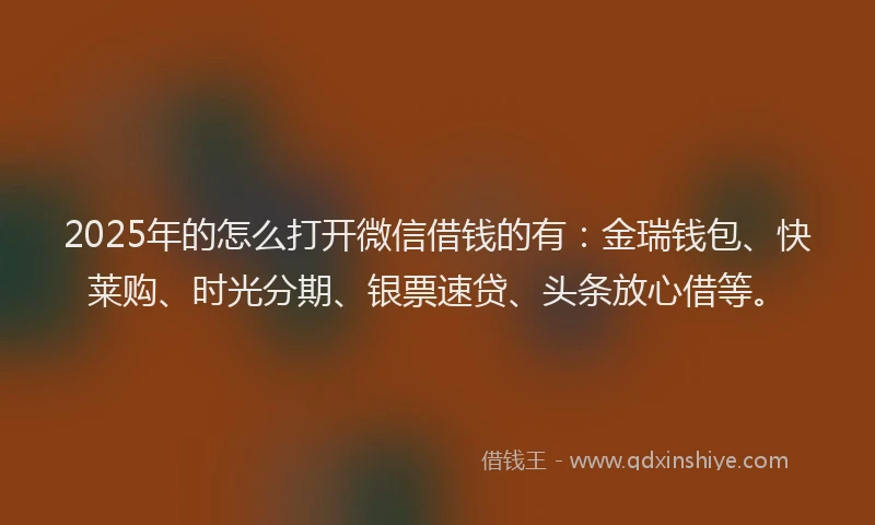 2025年的怎么打开微信借钱的有：金瑞钱包、快莱购、时光分期、银票速贷、头条放心借等。