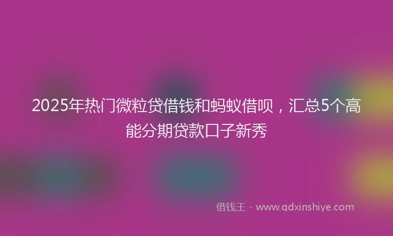 2025年热门微粒贷借钱和蚂蚁借呗，汇总5个高能分期贷款口子新秀