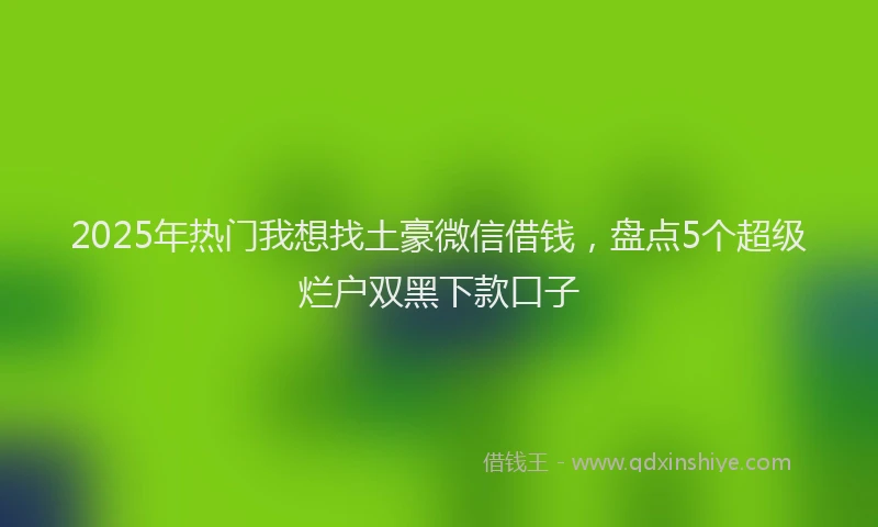 2025年热门我想找土豪微信借钱，盘点5个超级烂户双黑下款口子