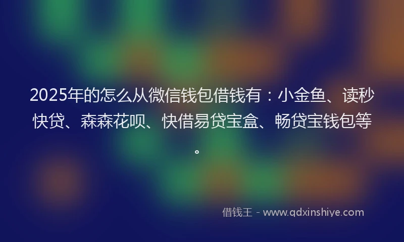 2025年的怎么从微信钱包借钱有：小金鱼、读秒快贷、森森花呗、快借易贷宝盒、畅贷宝钱包等。