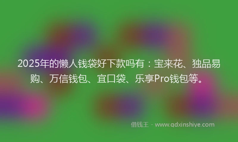 2025年的懒人钱袋好下款吗有：宝来花、独品易购、万信钱包、宜口袋、乐享Pro钱包等。