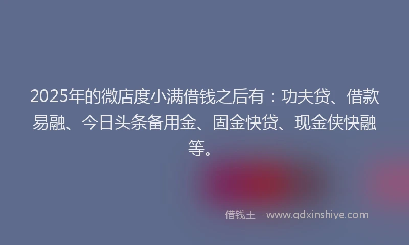 2025年的微店度小满借钱之后有：功夫贷、借款易融、今日头条备用金、固金快贷、现金侠快融等。