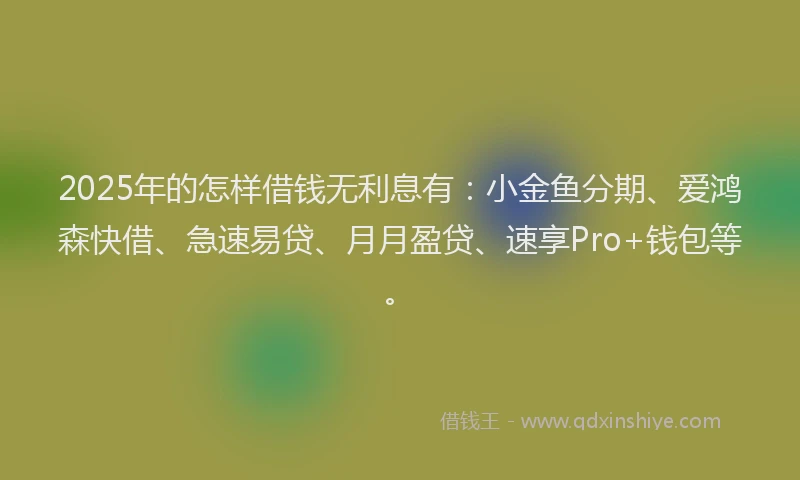 2025年的怎样借钱无利息有：小金鱼分期、爱鸿森快借、急速易贷、月月盈贷、速享Pro+钱包等。