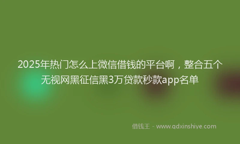 2025年热门怎么上微信借钱的平台啊，整合五个无视网黑征信黑3万贷款秒款app名单