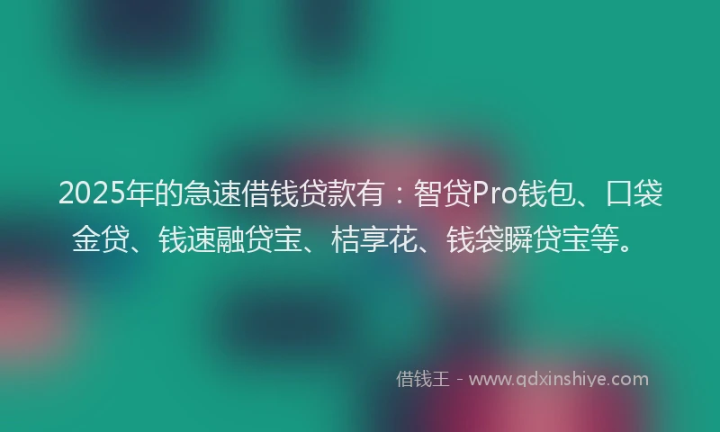 2025年的急速借钱贷款有：智贷Pro钱包、口袋金贷、钱速融贷宝、桔享花、钱袋瞬贷宝等。