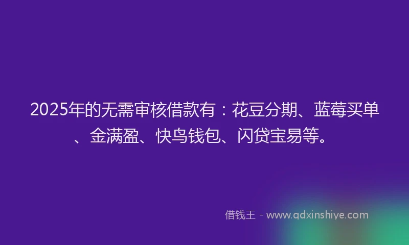 2025年的无需审核借款有：花豆分期、蓝莓买单、金满盈、快鸟钱包、闪贷宝易等。