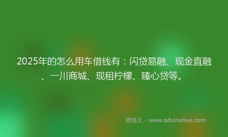 2025年的怎么用车借钱有：闪贷易融、现金直融、一川商城、现租柠檬、臻心贷等。
