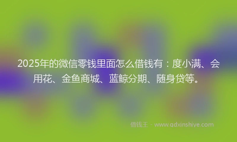2025年的微信零钱里面怎么借钱有：度小满、会用花、金鱼商城、蓝鲸分期、随身贷等。
