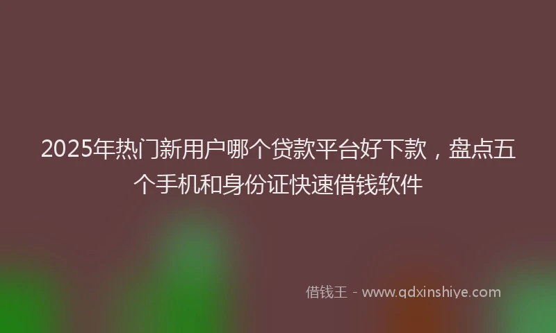 2025年热门新用户哪个贷款平台好下款，盘点五个手机和身份证快速借钱软件