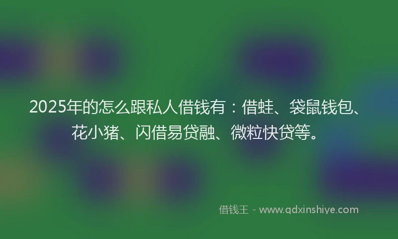 2025年的怎么跟私人借钱有：借蛙、袋鼠钱包、花小猪、闪借易贷融、微粒快贷等。