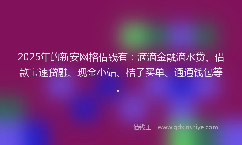 2025年的新安网格借钱有：滴滴金融滴水贷、借款宝速贷融、现金小站、桔子买单、通通钱包等。