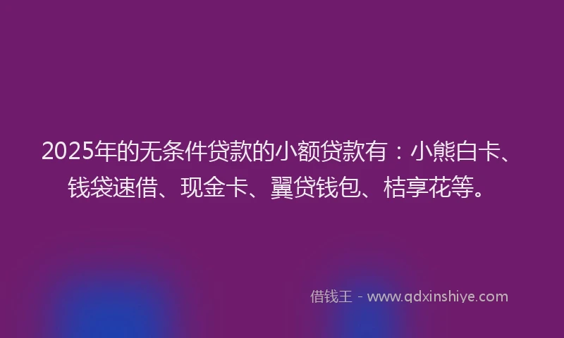 2025年的无条件贷款的小额贷款有：小熊白卡、钱袋速借、现金卡、翼贷钱包、桔享花等。
