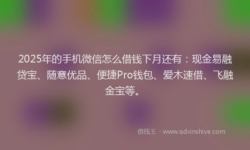2025年的手机微信怎么借钱下月还有：现金易融贷宝、随意优品、便捷Pro钱包、爱木速借、飞融金宝等。