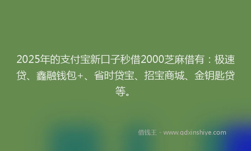 2025年的支付宝新口子秒借2000芝麻借有：极速贷、鑫融钱包+、省时贷宝、招宝商城、金钥匙贷等。