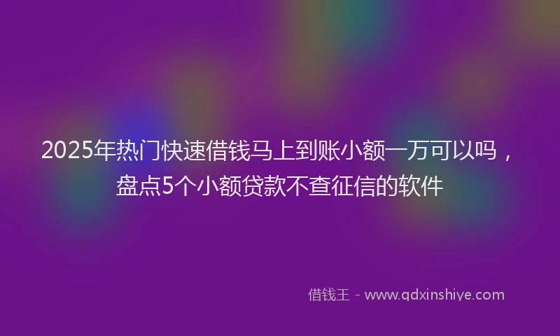 2025年热门快速借钱马上到账小额一万可以吗，盘点5个小额贷款不查征信的软件