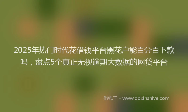 2025年热门时代花借钱平台黑花户能百分百下款吗，盘点5个真正无视逾期大数据的网贷平台