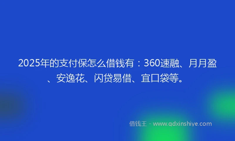 2025年的支付保怎么借钱有：360速融、月月盈、安逸花、闪贷易借、宜口袋等。
