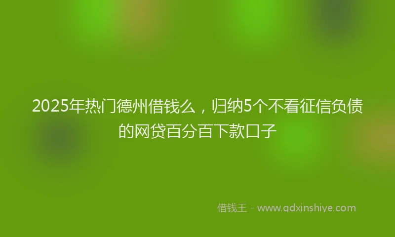 2025年热门德州借钱么，归纳5个不看征信负债的网贷百分百下款口子