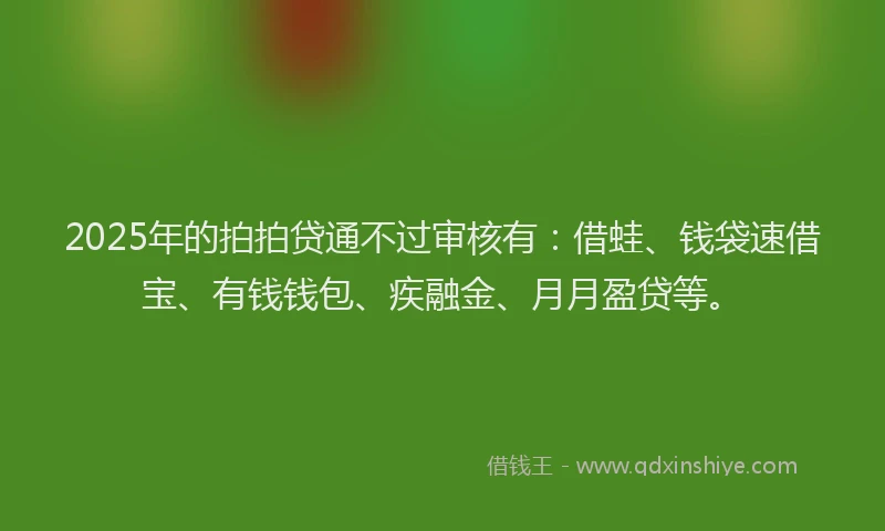 2025年的拍拍贷通不过审核有：借蛙、钱袋速借宝、有钱钱包、疾融金、月月盈贷等。