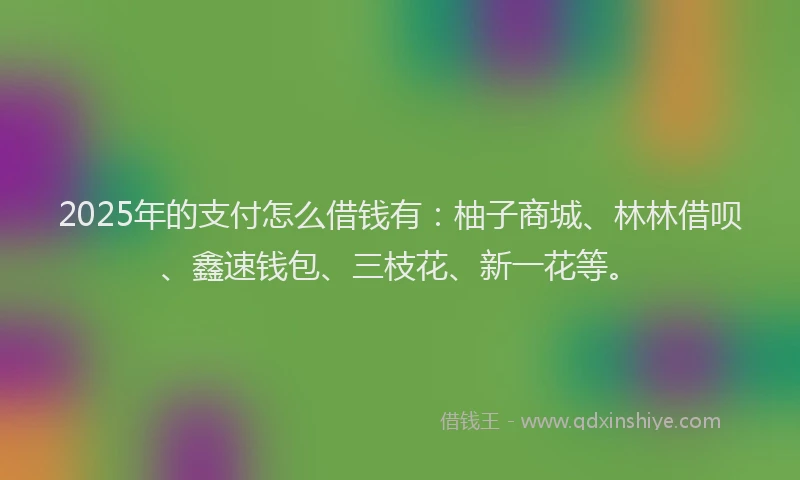 2025年的支付怎么借钱有：柚子商城、林林借呗、鑫速钱包、三枝花、新一花等。