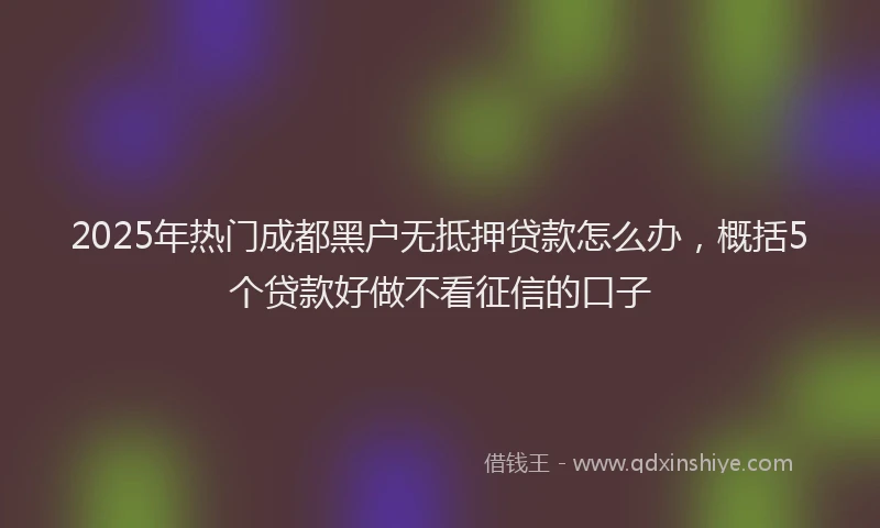 2025年热门成都黑户无抵押贷款怎么办，概括5个贷款好做不看征信的口子
