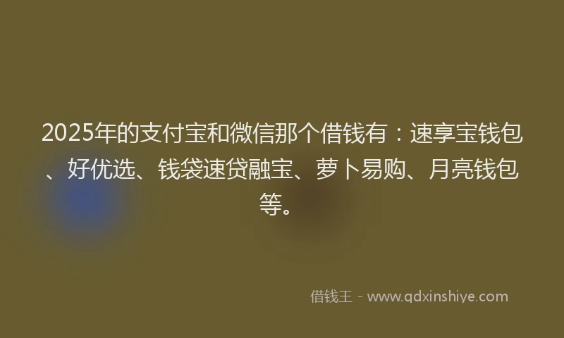 2025年的支付宝和微信那个借钱有：速享宝钱包、好优选、钱袋速贷融宝、萝卜易购、月亮钱包等。