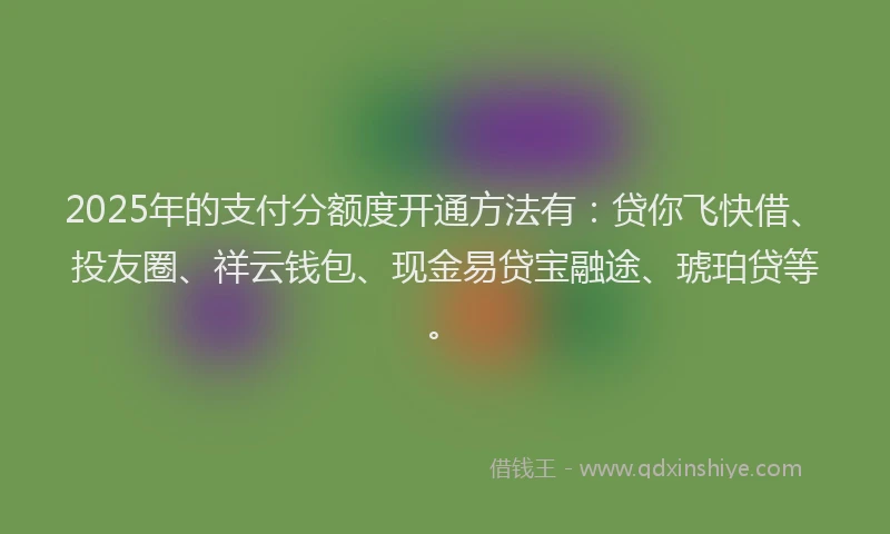 2025年的支付分额度开通方法有：贷你飞快借、投友圈、祥云钱包、现金易贷宝融途、琥珀贷等。