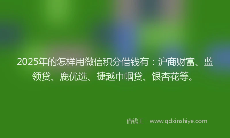 2025年的怎样用微信积分借钱有：沪商财富、蓝领贷、鹿优选、捷越巾帼贷、银杏花等。