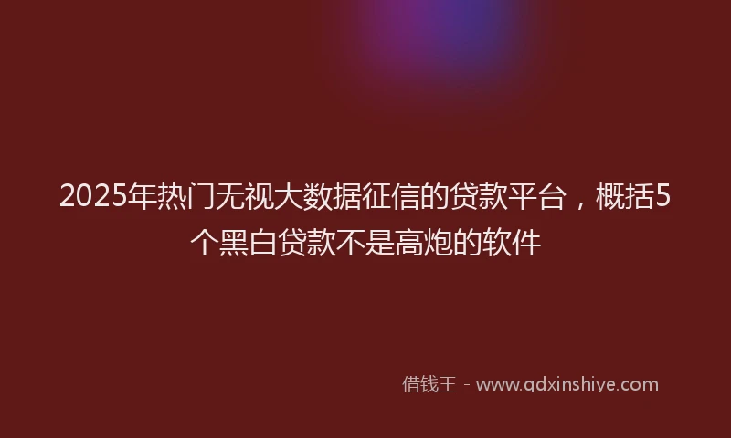 2025年热门无视大数据征信的贷款平台，概括5个黑白贷款不是高炮的软件