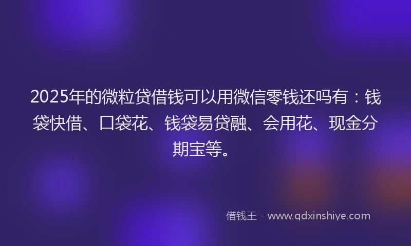 2025年的微粒贷借钱可以用微信零钱还吗有：钱袋快借、口袋花、钱袋易贷融、会用花、现金分期宝等。