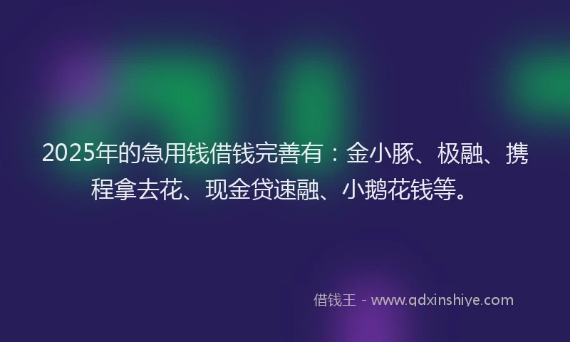 2025年的急用钱借钱完善有：金小豚、极融、携程拿去花、现金贷速融、小鹅花钱等。
