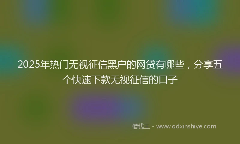2025年热门无视征信黑户的网贷有哪些，分享五个快速下款无视征信的口子