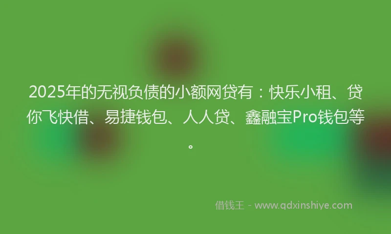 2025年的无视负债的小额网贷有：快乐小租、贷你飞快借、易捷钱包、人人贷、鑫融宝Pro钱包等。