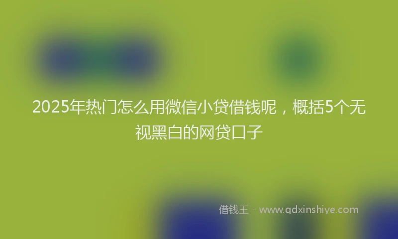 2025年热门怎么用微信小贷借钱呢，概括5个无视黑白的网贷口子