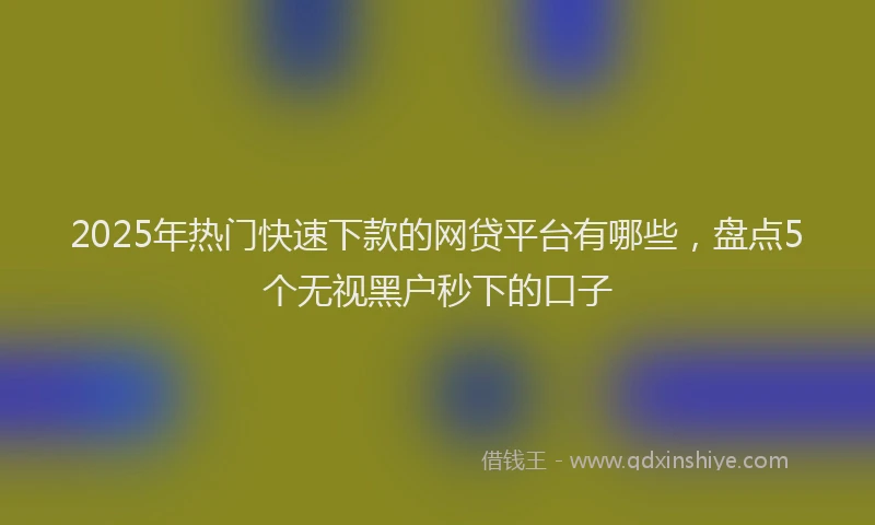 2025年热门快速下款的网贷平台有哪些，盘点5个无视黑户秒下的口子