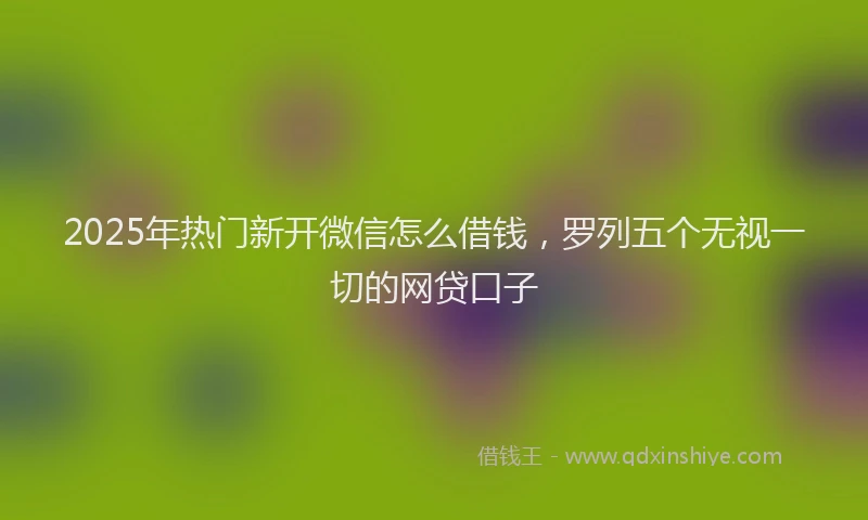 2025年热门新开微信怎么借钱，罗列五个无视一切的网贷口子