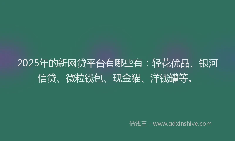2025年的新网贷平台有哪些有：轻花优品、银河信贷、微粒钱包、现金猫、洋钱罐等。