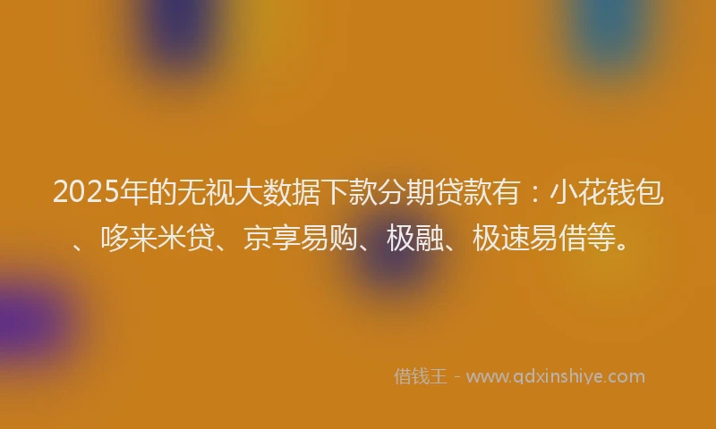 2025年的无视大数据下款分期贷款有：小花钱包、哆来米贷、京享易购、极融、极速易借等。