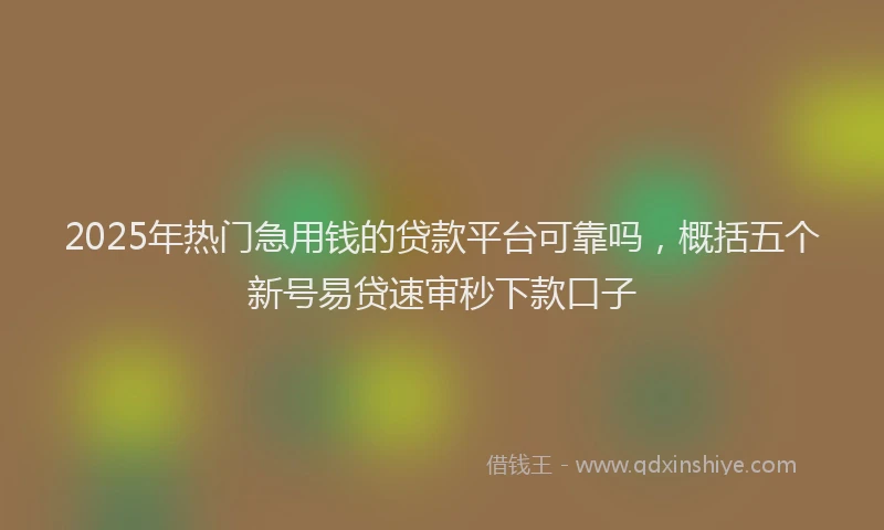 2025年热门急用钱的贷款平台可靠吗，概括五个新号易贷速审秒下款口子