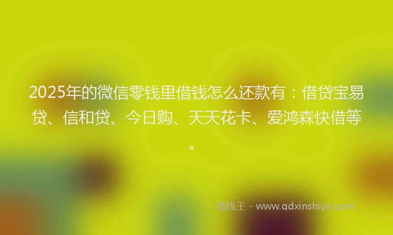 2025年的微信零钱里借钱怎么还款有：借贷宝易贷、信和贷、今日购、天天花卡、爱鸿森快借等。