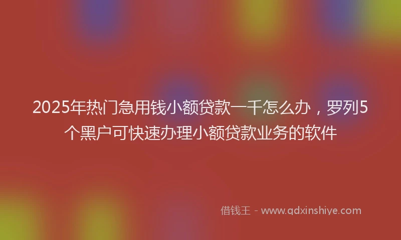 2025年热门急用钱小额贷款一千怎么办，罗列5个黑户可快速办理小额贷款业务的软件