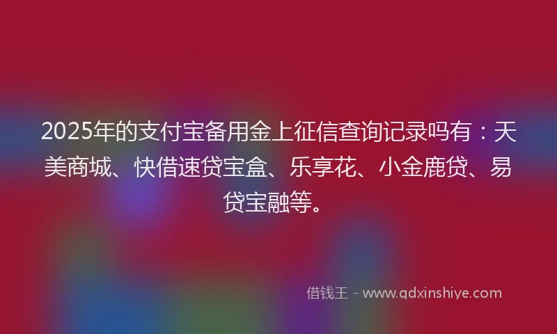 2025年的支付宝备用金上征信查询记录吗有：天美商城、快借速贷宝盒、乐享花、小金鹿贷、易贷宝融等。