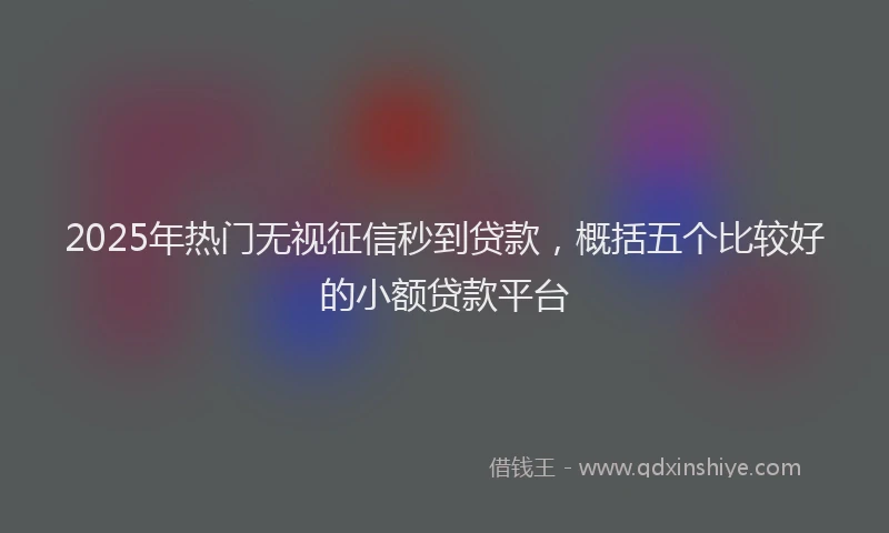 2025年热门无视征信秒到贷款，概括五个比较好的小额贷款平台