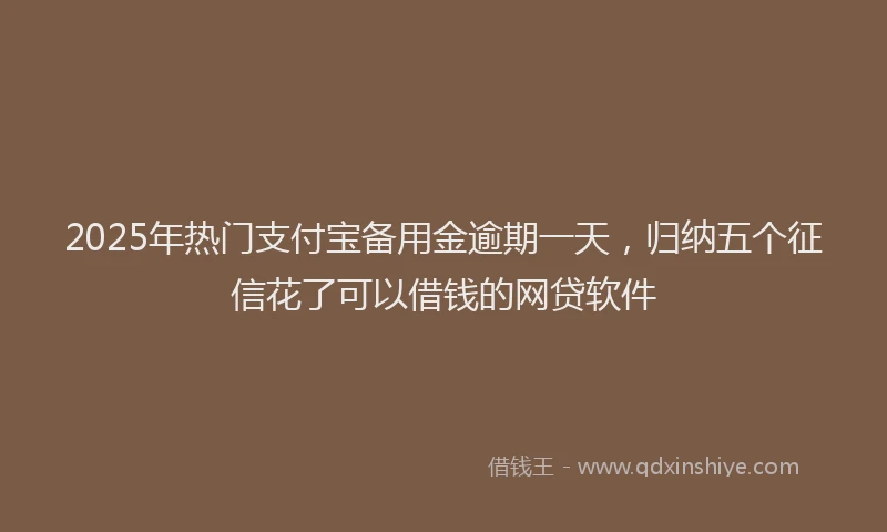 2025年热门支付宝备用金逾期一天，归纳五个征信花了可以借钱的网贷软件