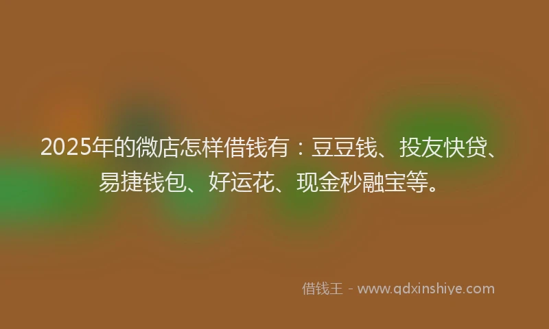 2025年的微店怎样借钱有：豆豆钱、投友快贷、易捷钱包、好运花、现金秒融宝等。
