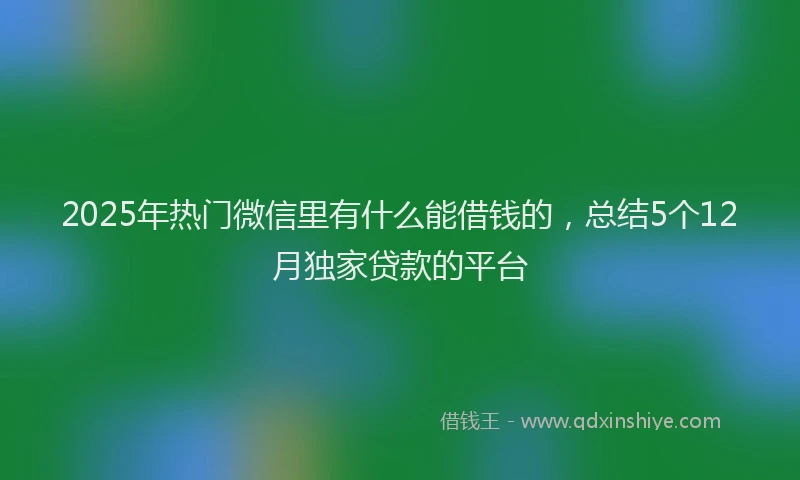 2025年热门微信里有什么能借钱的，总结5个12月独家贷款的平台