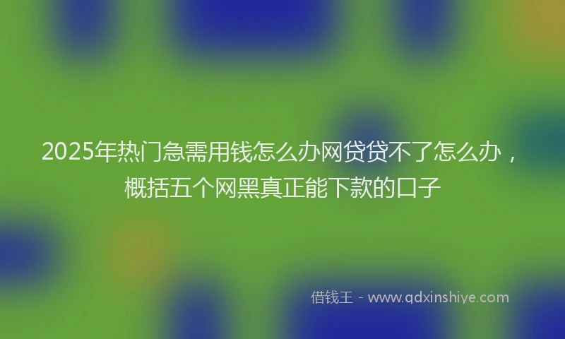 2025年热门急需用钱怎么办网贷贷不了怎么办，概括五个网黑真正能下款的口子