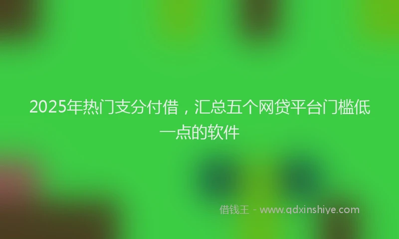 2025年热门支分付借，汇总五个网贷平台门槛低一点的软件